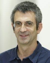 Institute Of Biochemistry Ii Goethe University Medical Faculty Frankfurt Sumo Signaling